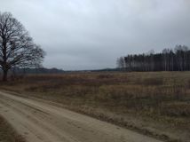 Działka Budy Lucieńskie. Zdjęcie 4