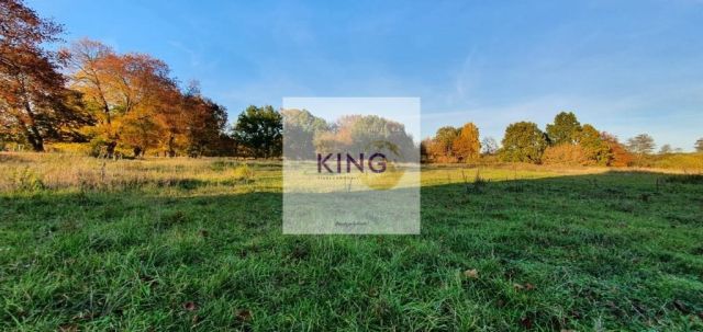 Działka rolna Rogówko. Zdjęcie 3