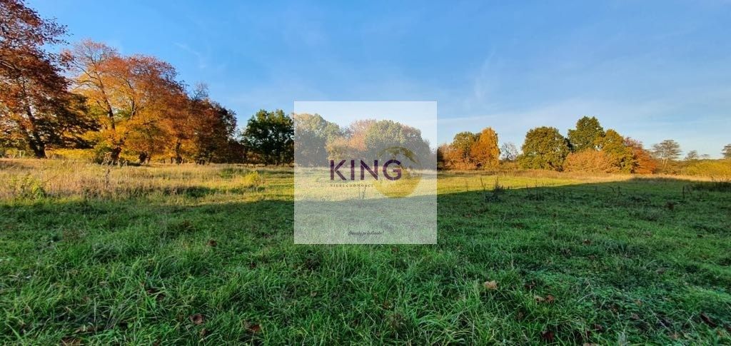 Działka rolna Rogówko. Zdjęcie 3