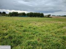 Działka rolno-budowlana Zebrzydów. Zdjęcie 2