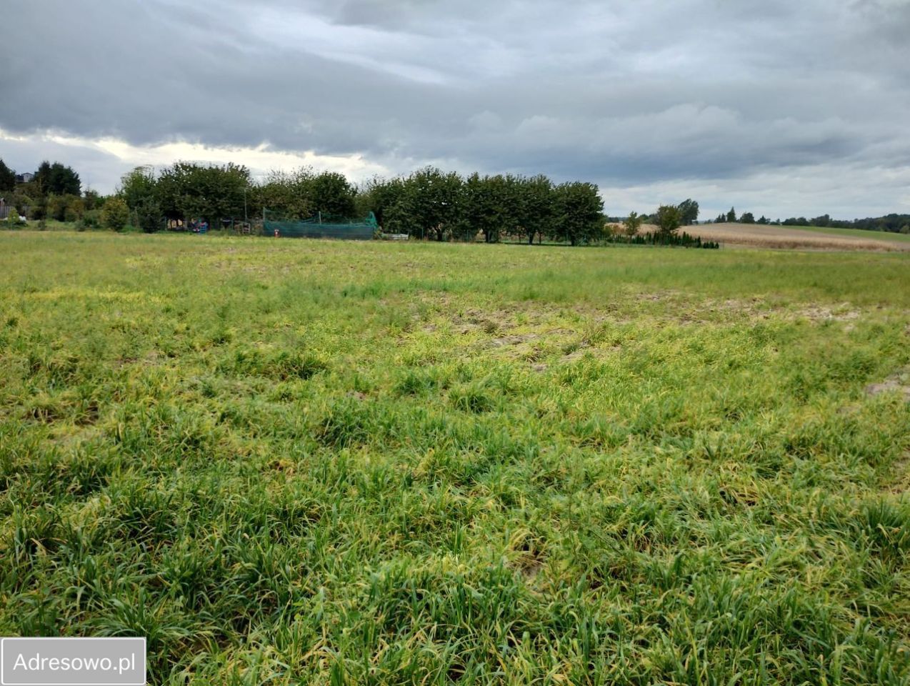 Działka rolno-budowlana Zebrzydów. Zdjęcie 3