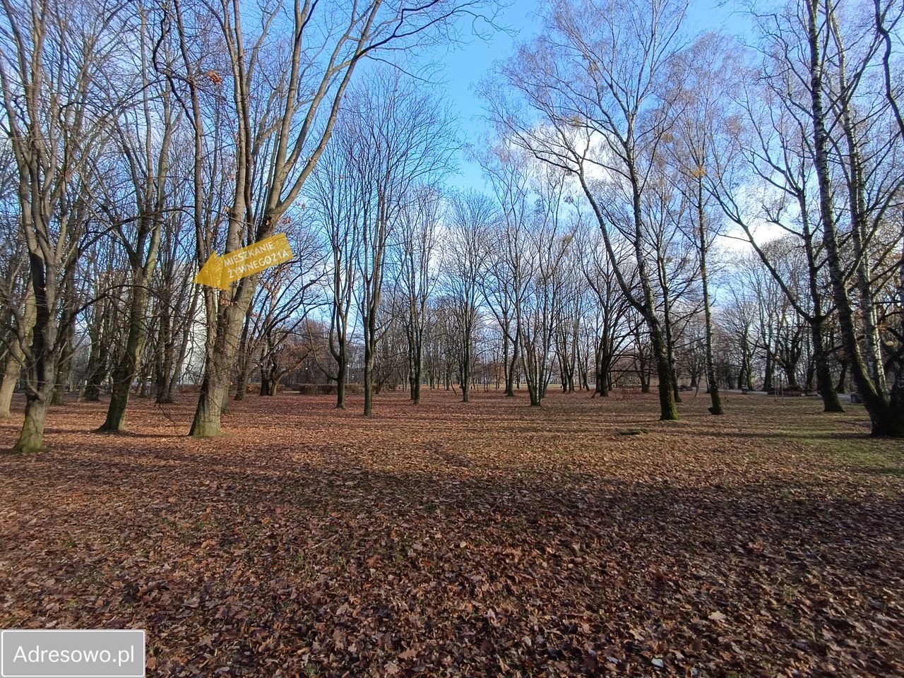 Mieszkanie 2-pokojowe Warszawa Górny Mokotów, ul. Wojciecha Żywnego. Zdjęcie 8