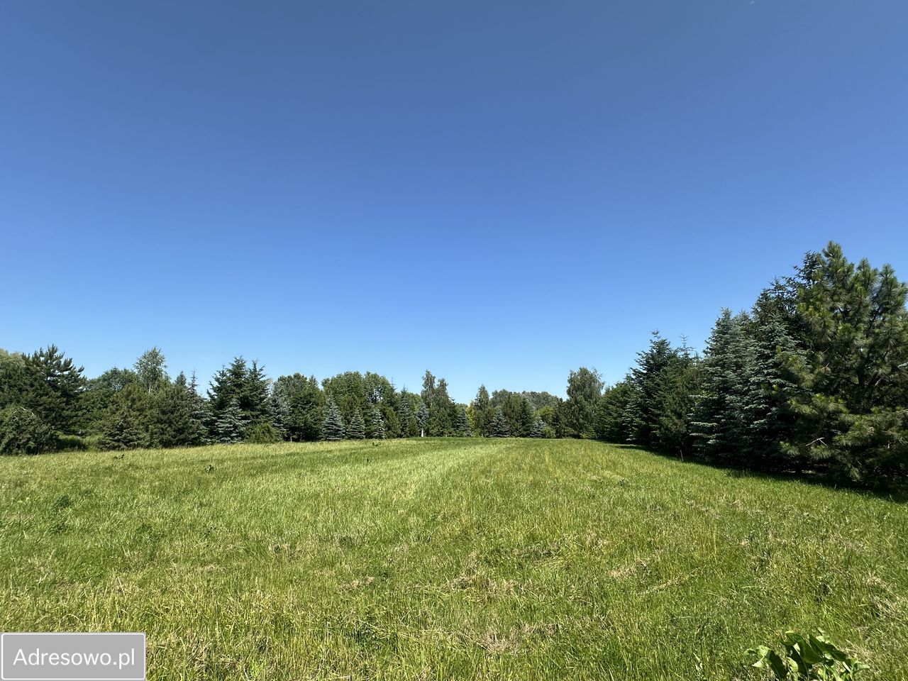 Działka inwestycyjna Warszawa Wilanów, ul. Syta. Zdjęcie 2