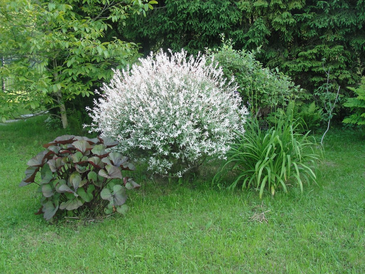 Działka budowlana Klimkówka. Zdjęcie 4