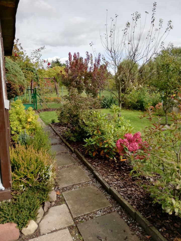 Działka rod Warszawa Bemowo, Dzialka ROD Bemowo II. Zdjęcie 17