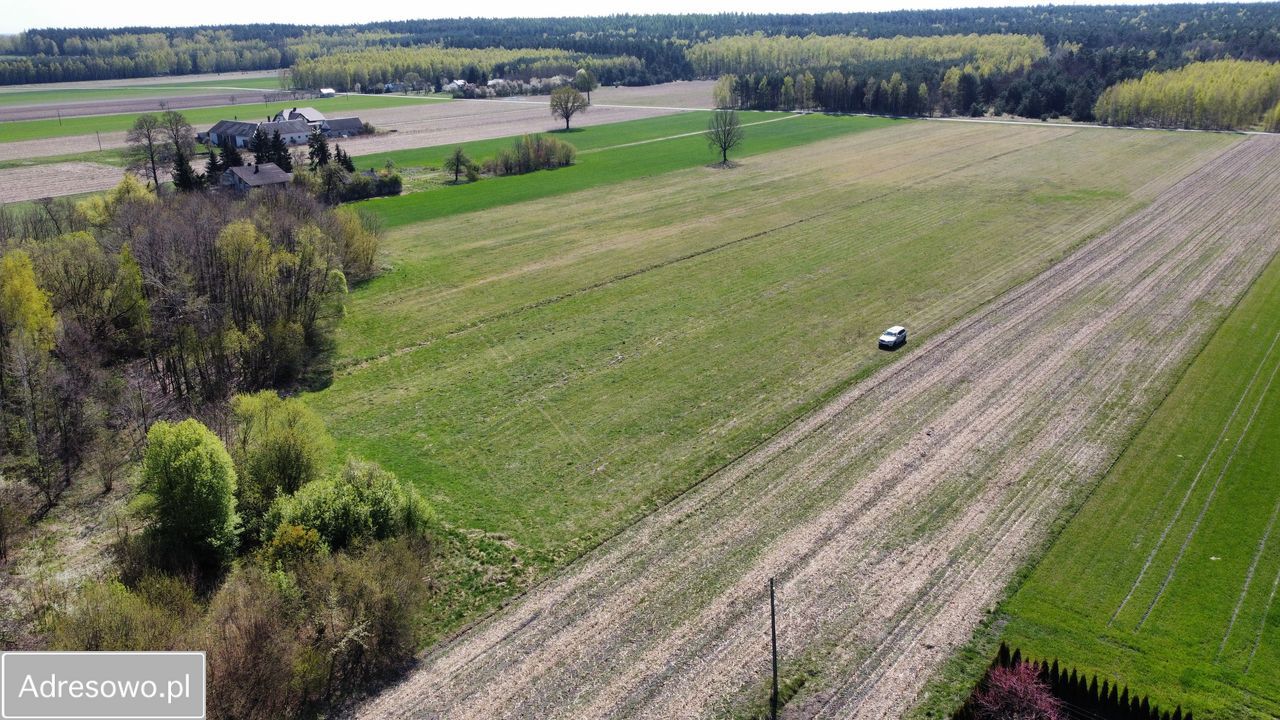 Działka rolno-budowlana Ruda Jeżewska. Zdjęcie 2