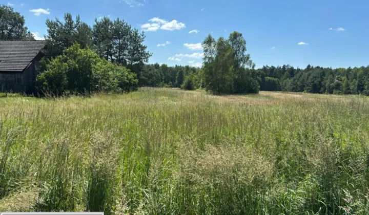 Działka inna Cynków, ul. Leśna