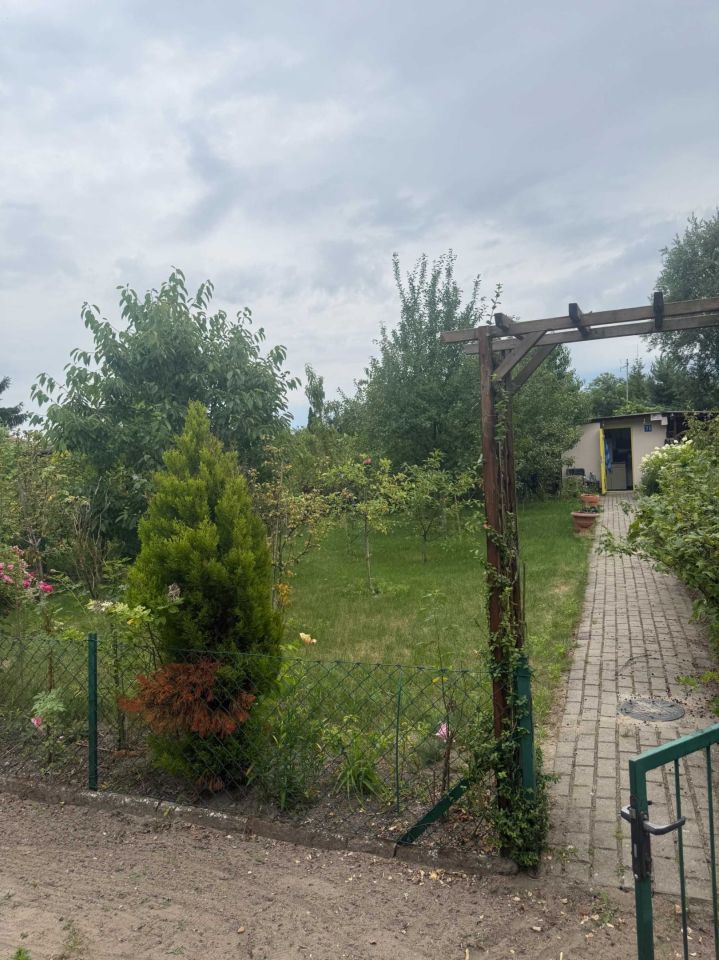 Działka rod Rogoźno. Zdjęcie 2