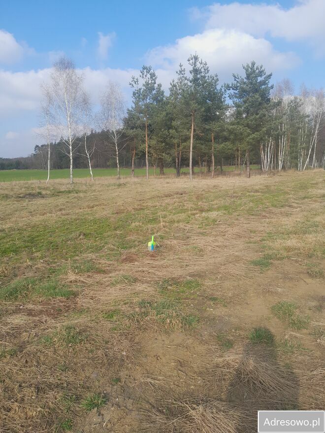 Działka budowlana Budy Trzcińskie. Zdjęcie 4
