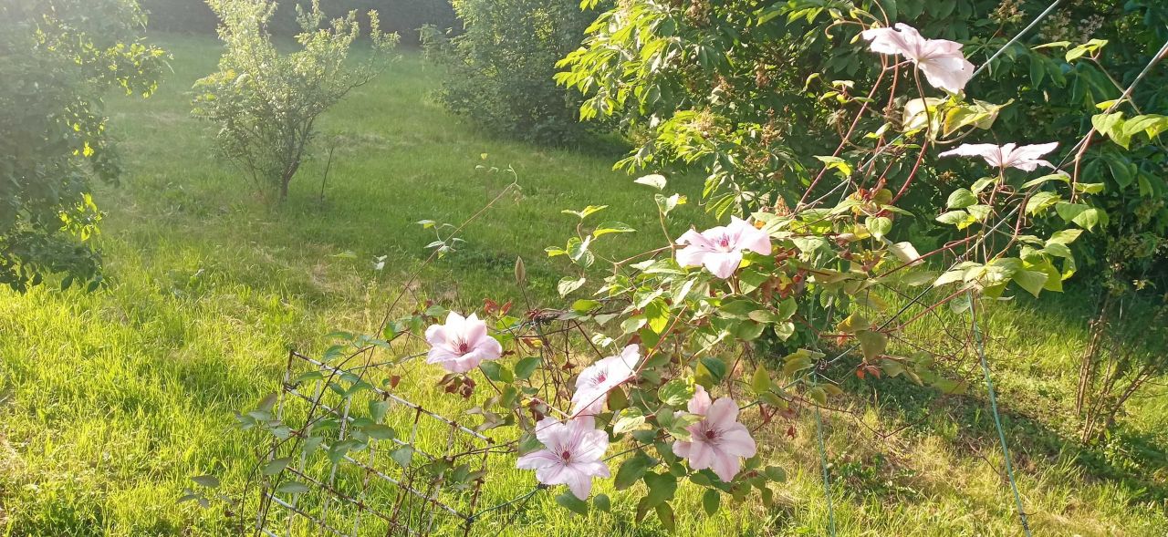 Działka budowlana Rawicz, ul. ks. Piotra Wawrzyniaka. Zdjęcie 7
