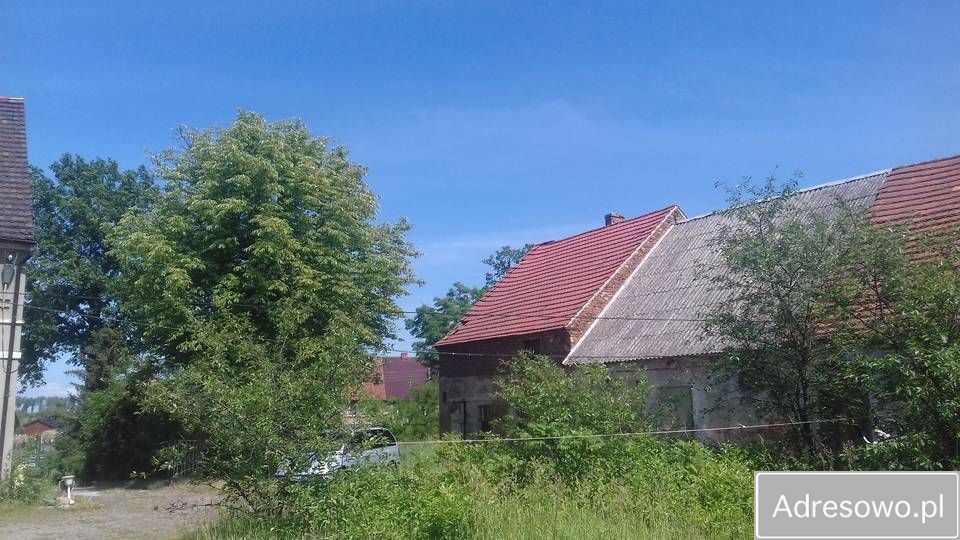 gospodarstwo Bożnów. Zdjęcie 12