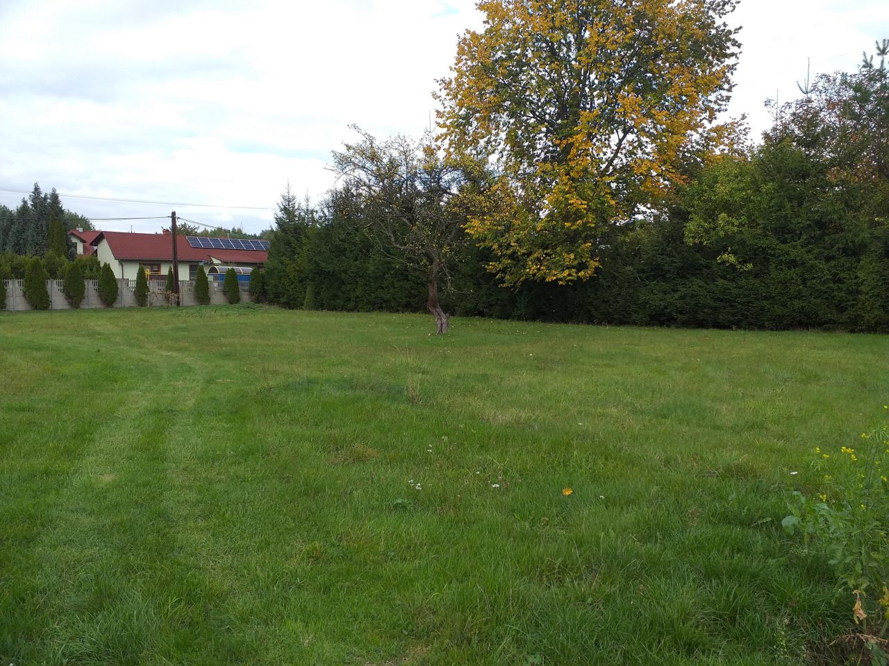 Działka budowlana Bogucin Duży. Zdjęcie 3