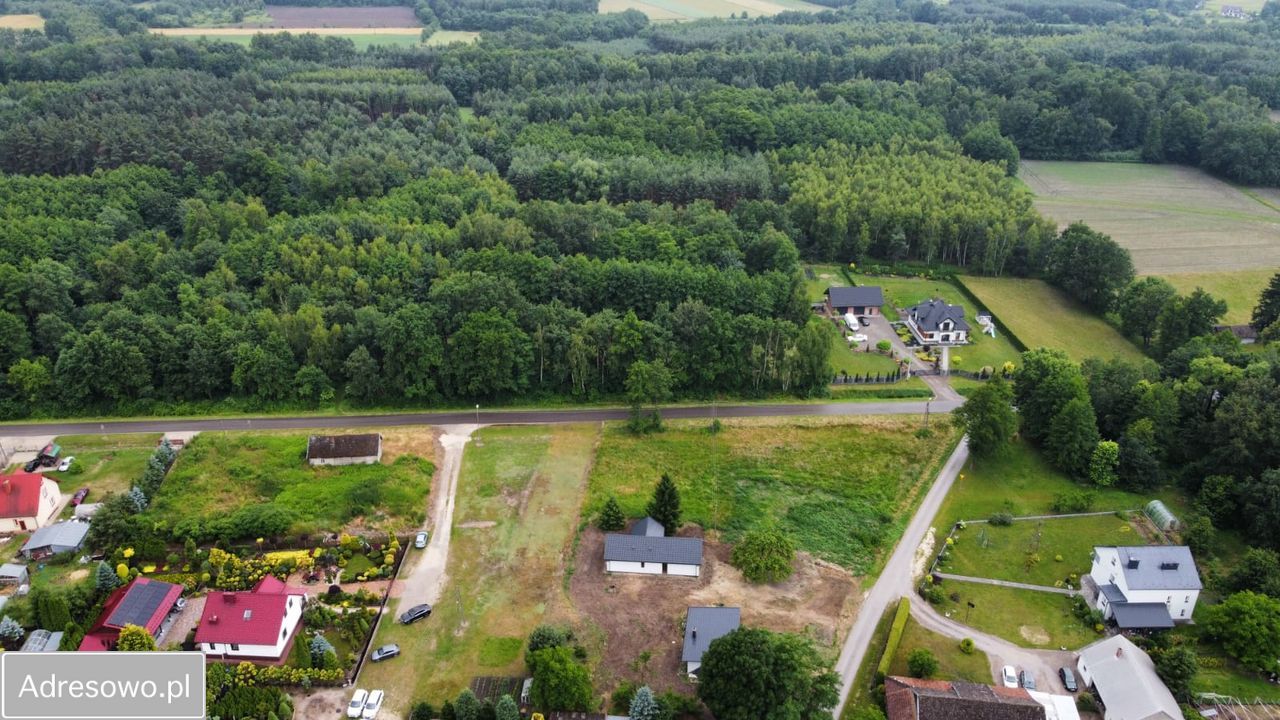 dom wolnostojący, 3 pokoje Mędrzechów. Zdjęcie 4