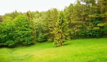 Działka na sprzedaż bez pośredników ul. Kasztanowa Piekło Dolne - Więcej