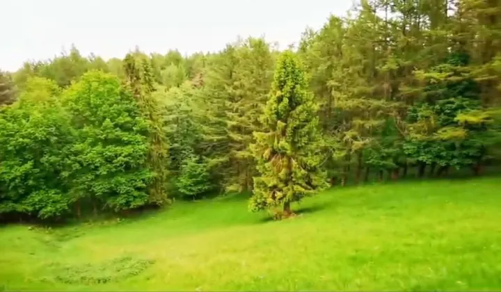 Działka budowlana Huta Górna