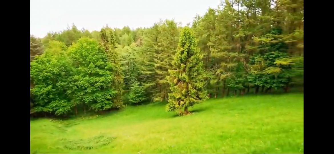 Działka budowlana Huta Górna