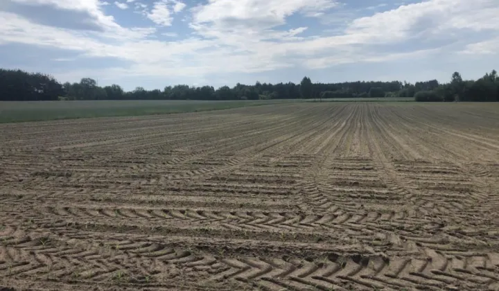 Działka rolna Sztabin, ul. Kościuszki