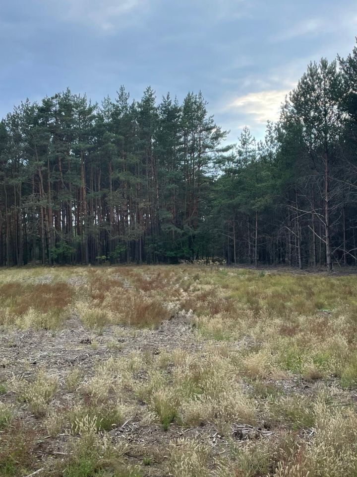 Działka budowlana Ruda-Czernik. Zdjęcie 2