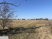 Działka inwestycyjna Modlimowo. Zdjęcie 2