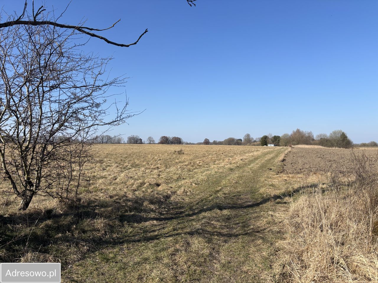 Działka inwestycyjna Modlimowo. Zdjęcie 3