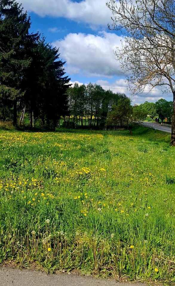 gospodarstwo Olszownica. Zdjęcie 5