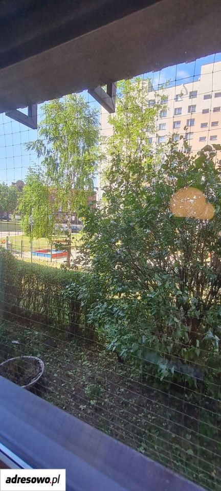 Mieszkanie 1-pokojowe Chorzów Centrum, ul. Katowicka. Zdjęcie 9