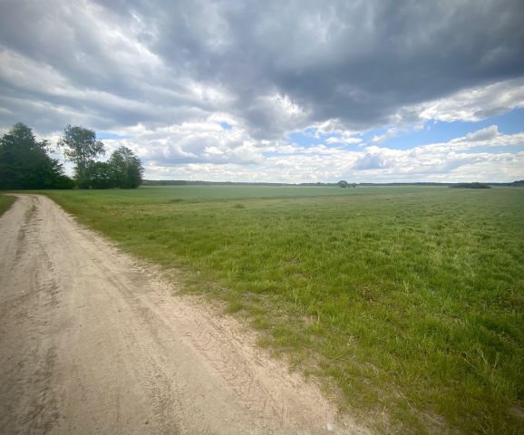 Działka rolna Dobrzanów. Zdjęcie 1