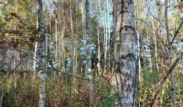 Działka rolna Potoczek