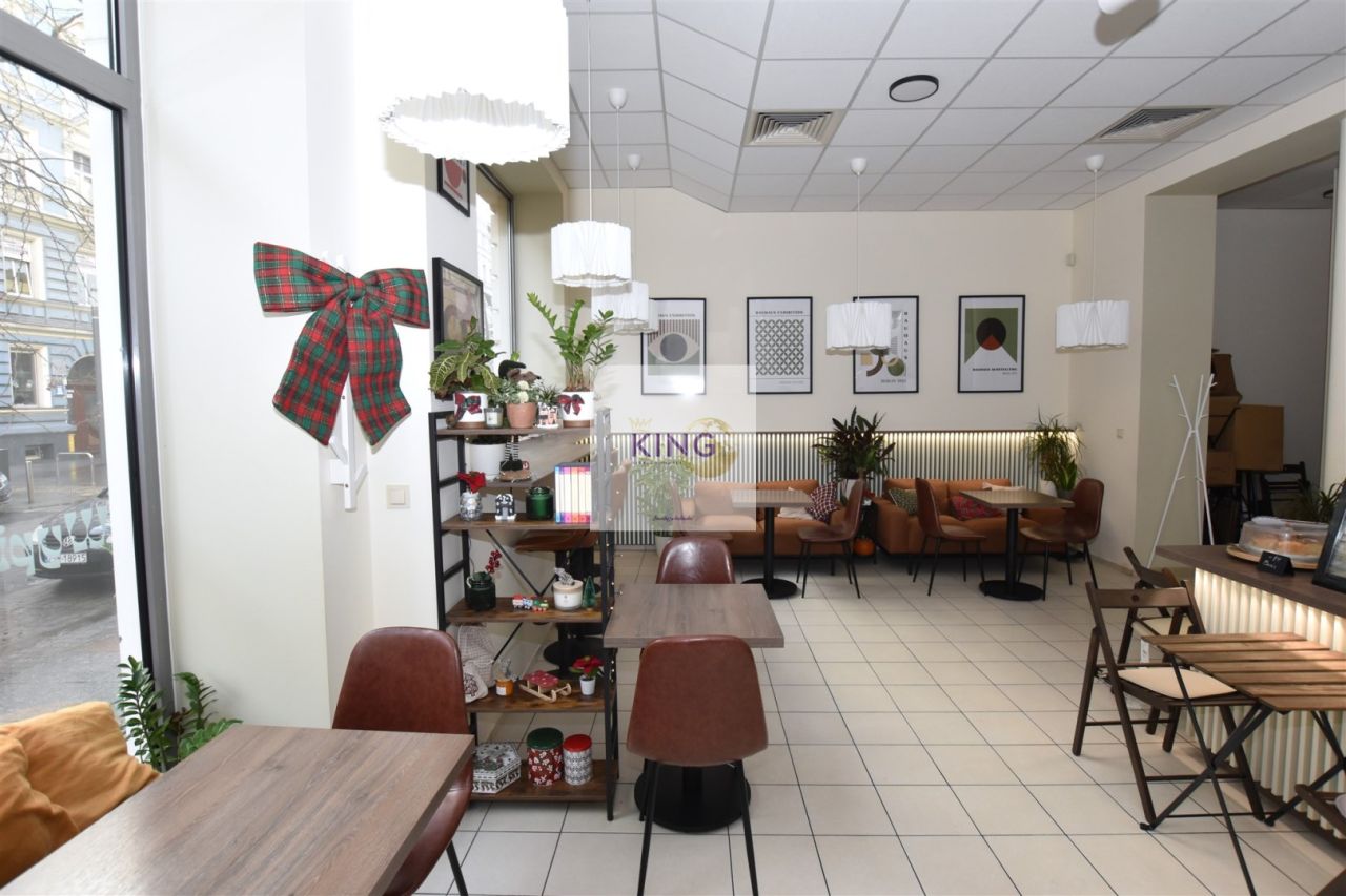 Lokal Szczecin Centrum. Zdjęcie 2