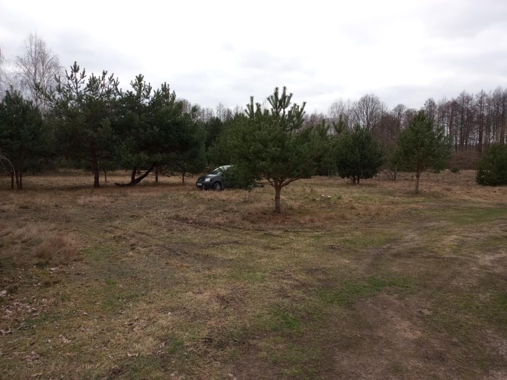 Działka budowlana Zdziechów. Zdjęcie 6