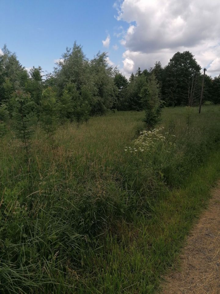 Działka rolno-budowlana Jaworzno. Zdjęcie 3