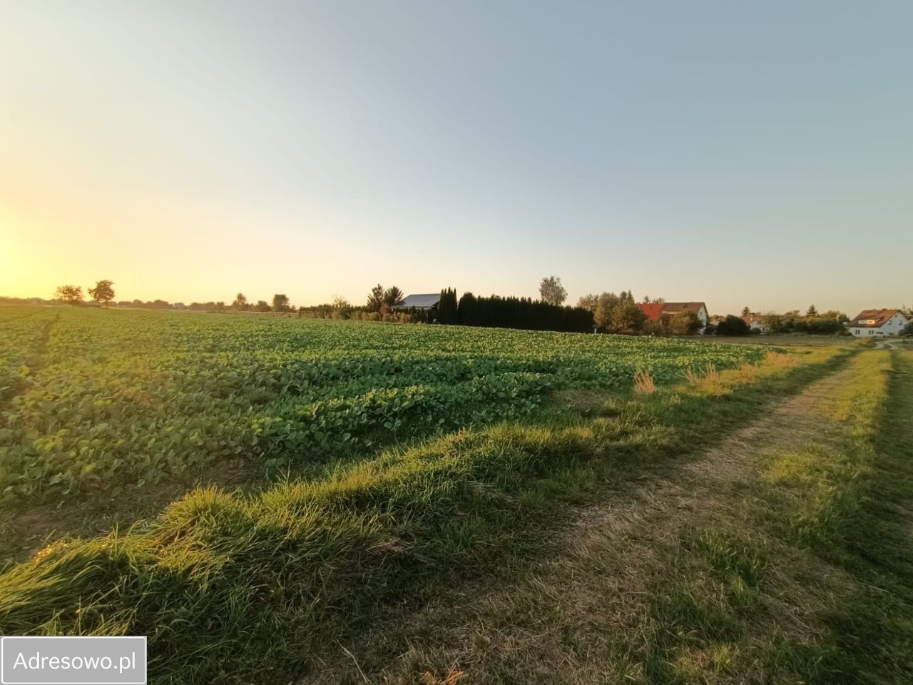 Działka rolno-budowlana Gołąb