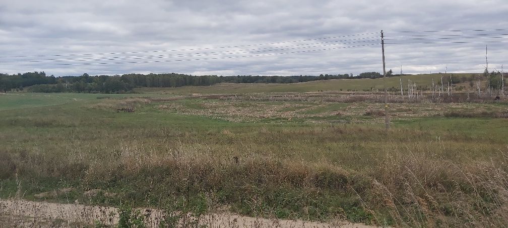 Działka rolno-budowlana Kuty. Zdjęcie 4