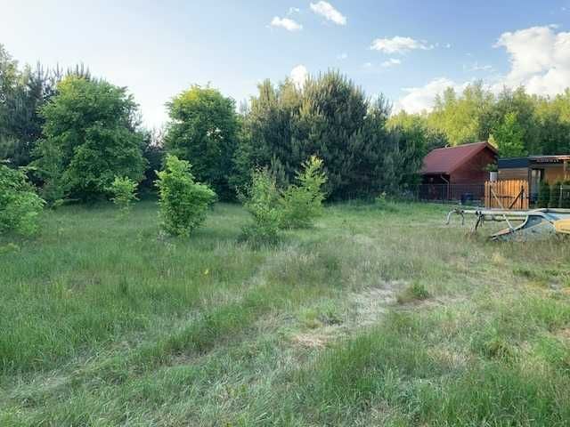 Działka rolna Pilchy. Zdjęcie 6