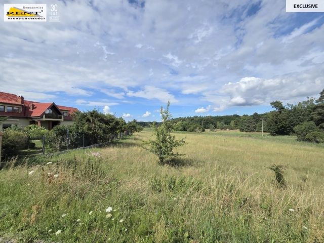 Działka inwestycyjna Bezrzecze. Zdjęcie 3