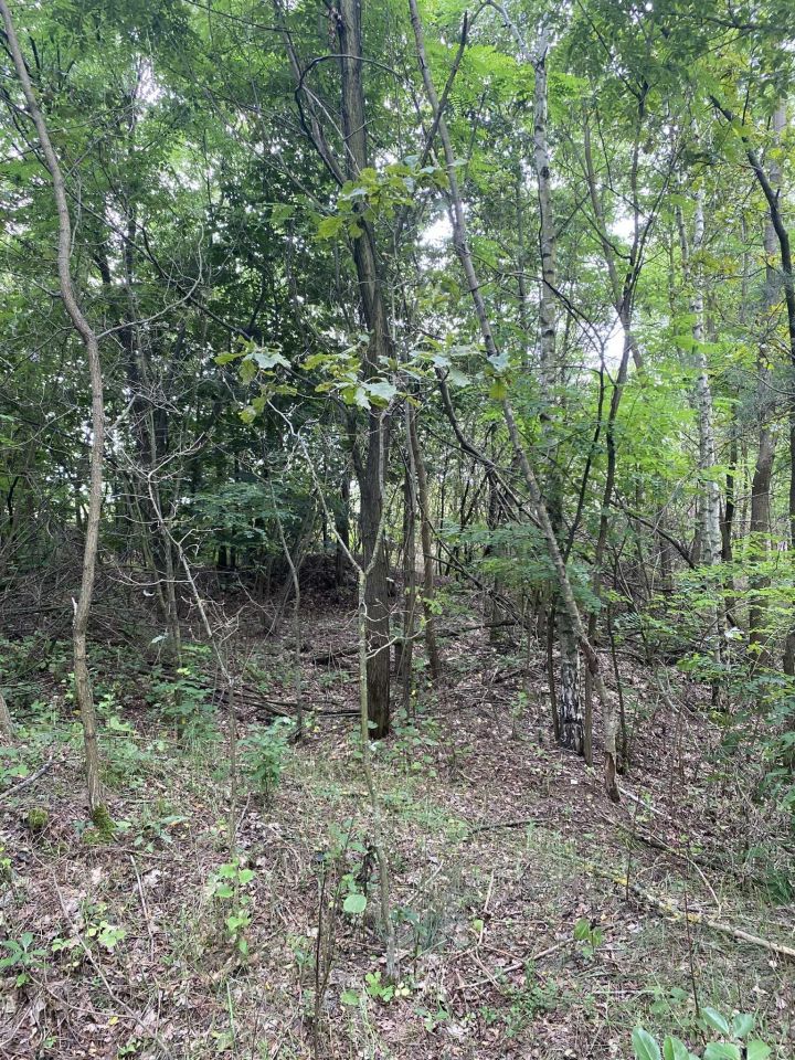 Działka rolno-budowlana Leonów. Zdjęcie 3