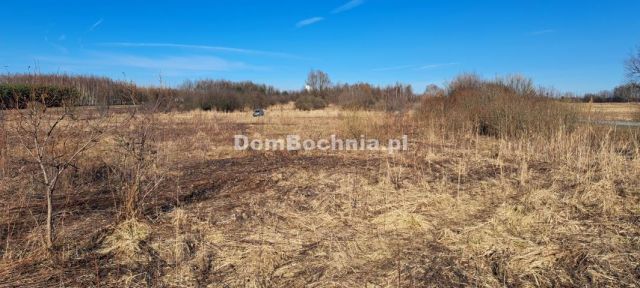 Działka inwestycyjna Borek. Zdjęcie 9