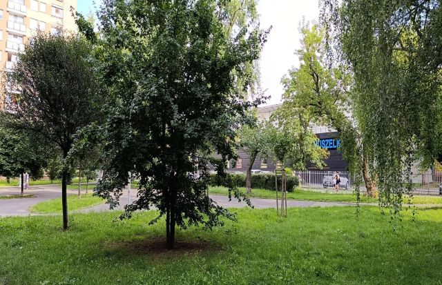 Mieszkanie 1-pokojowe Warszawa Targówek, ul. Wyszogrodzka. Zdjęcie 7