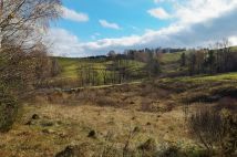 Działka rolno-budowlana Lipie. Zdjęcie 3