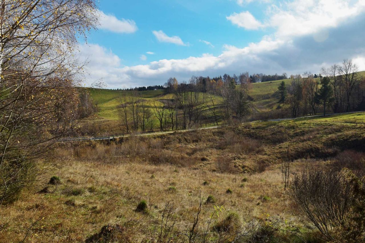 Działka rolno-budowlana Lipie. Zdjęcie 4