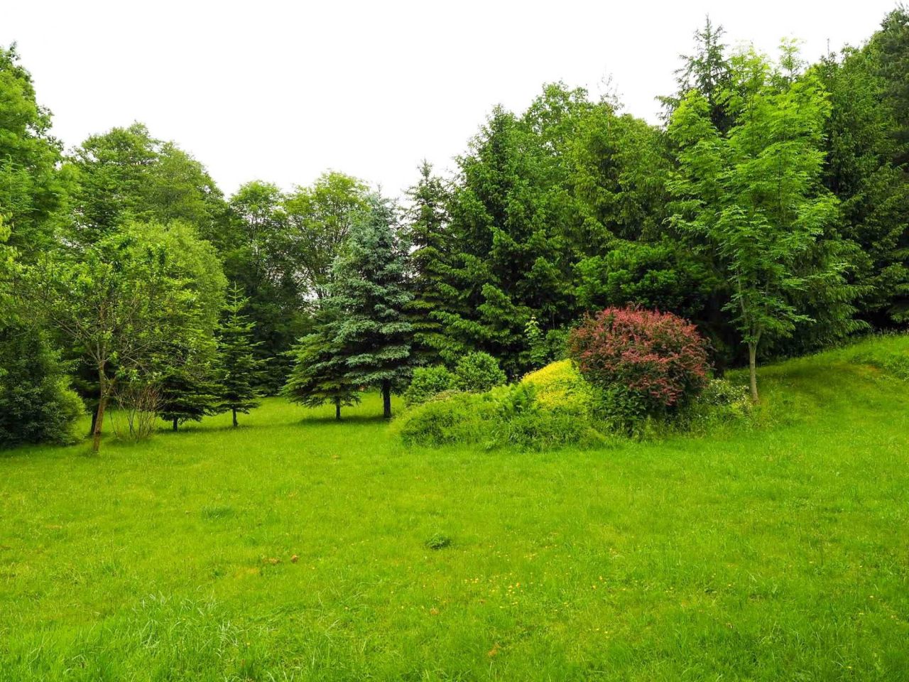 dom wolnostojący Kondratów. Zdjęcie 6