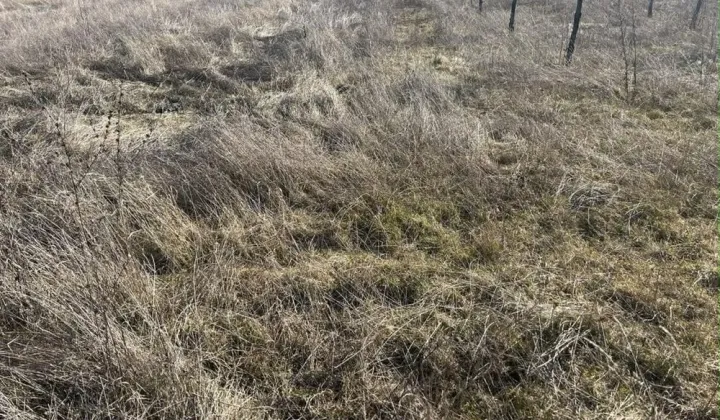 Działka rolna Łaziska