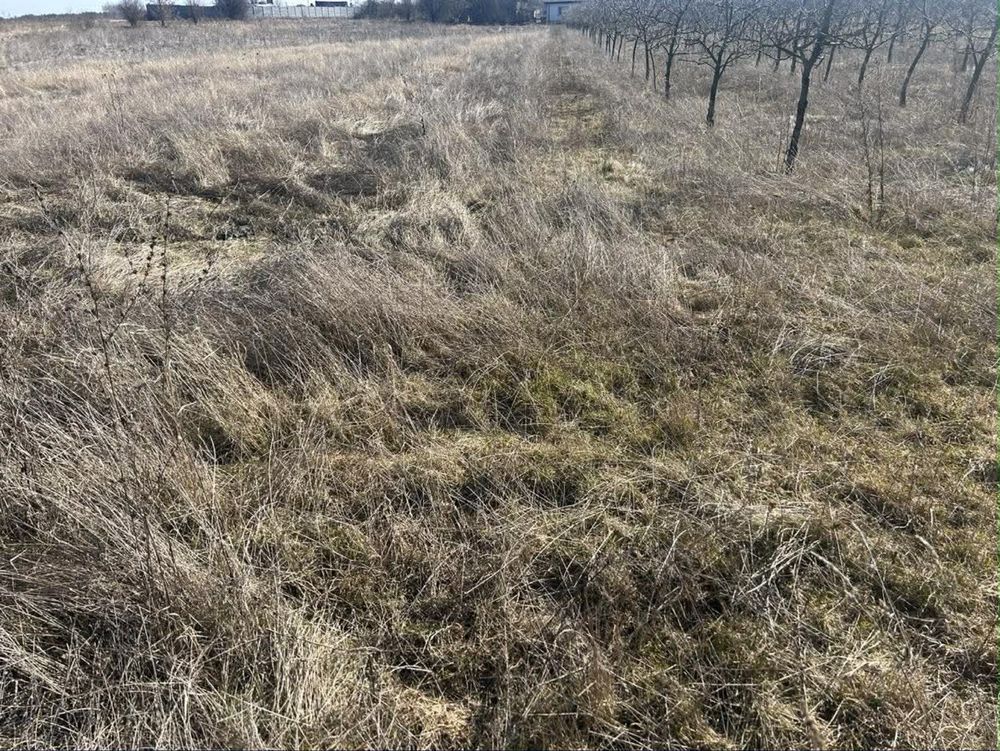 Działka rolna Łaziska. Zdjęcie 1