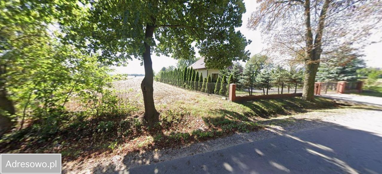 Działka rolno-budowlana Wola Niechcicka Stara. Zdjęcie 2