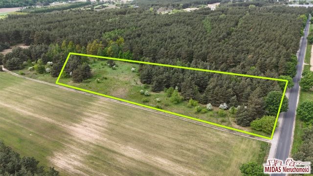 Działka Siarzewo. Zdjęcie 5