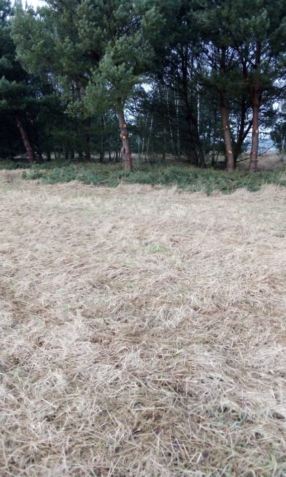 Działka budowlana Rosocha-Kolonia. Zdjęcie 6