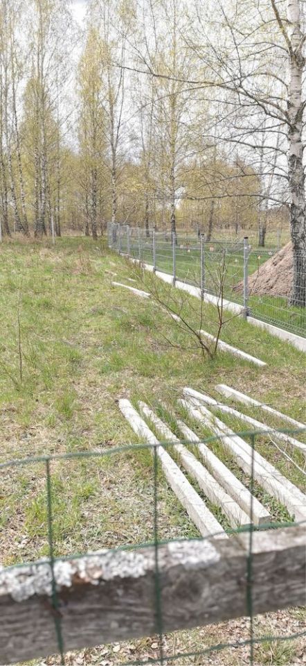 Działka budowlana Szczechy Małe. Zdjęcie 3