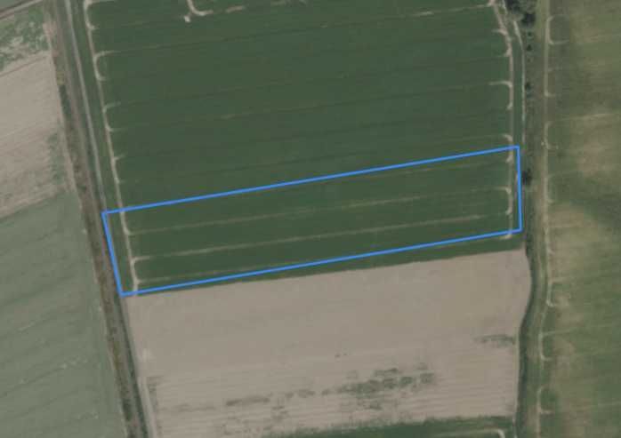 gospodarstwo Bodzanów. Zdjęcie 2