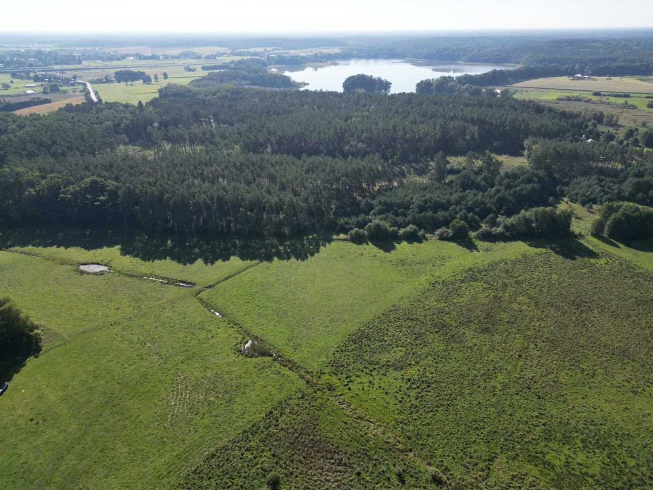 Działka rolna Zabierzewo. Zdjęcie 3
