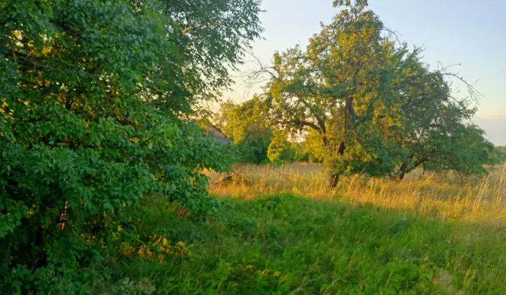 Działka budowlana Kolonia Łobudzice